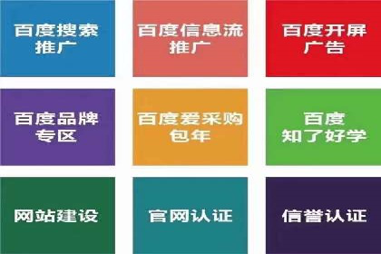 某某sem代运营公司：精准投放的背后策略